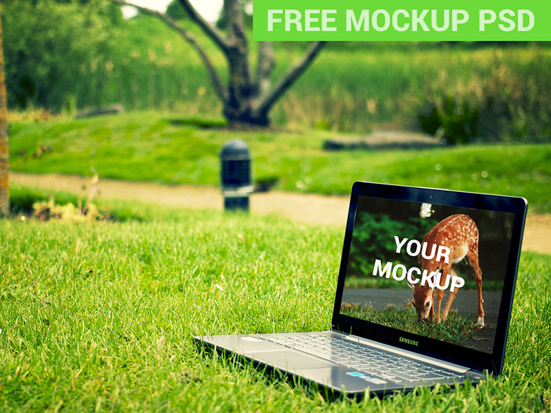 Samsung Laptop Notebook In The Park Free PSD