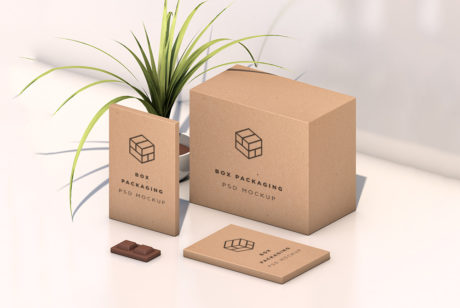 Download Isometric Box Packaging Mockup Free PSD | Download Mockup