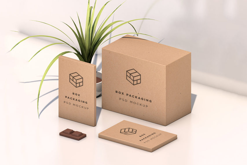 Isometric Box Packaging Mockup Free PSD